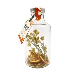 Pineut - mocktail - botanic spritz orange